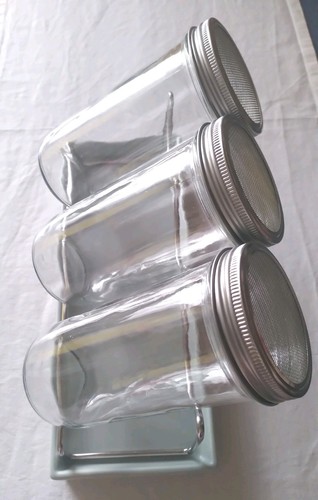Sprossenglas 3er set mit - sprossenglas,