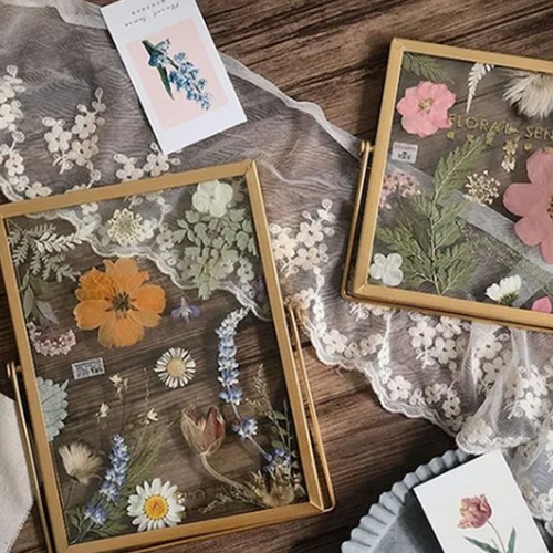 Foto display transparentes - foto-display,